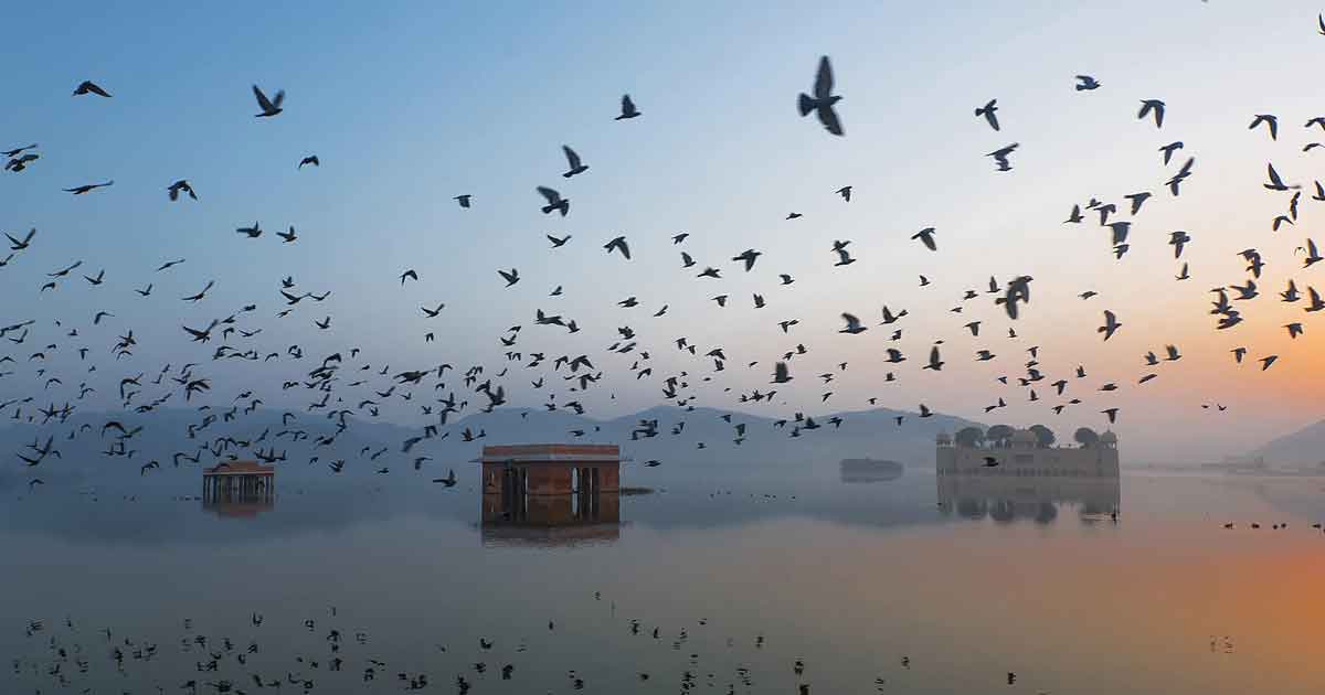 jal-mahal-jaipur-rajasthan